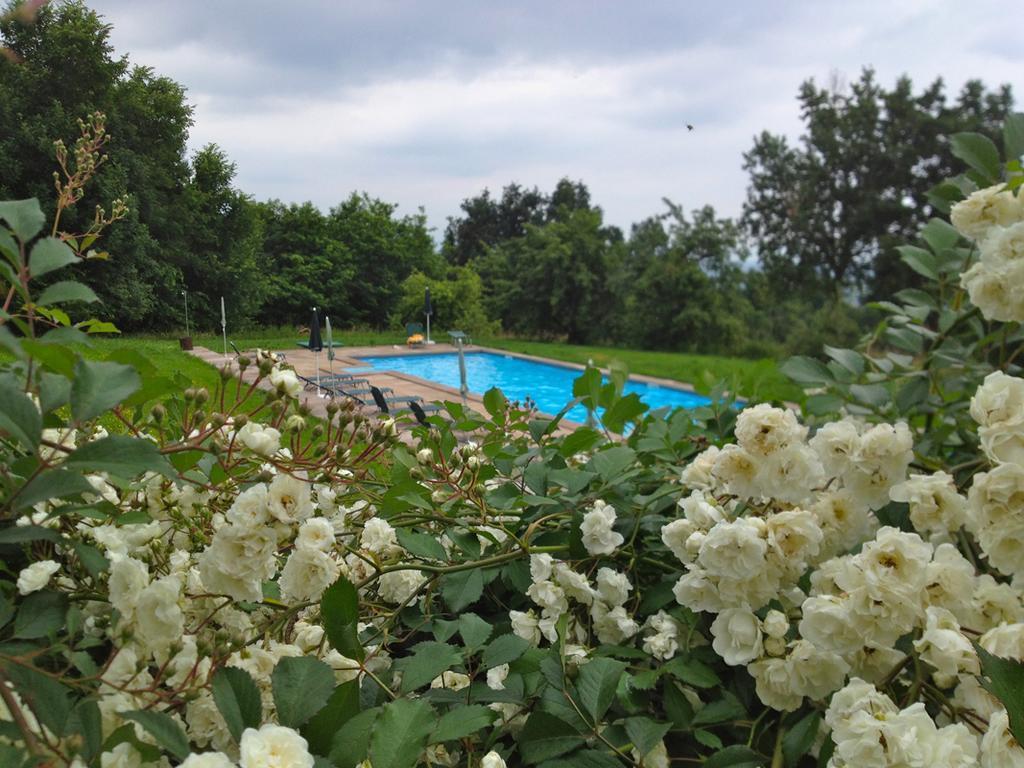 Agriturismo Famiglia Al Castello Di Bagnolo Bagnolo Piemonte Szoba fotó